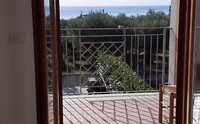 Casa Murata Alta